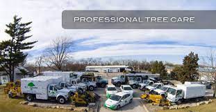 Find a licensed expert in your area who provides services recommended for the types of trees, bushes, and shrubs that grow on your property. Kansas City Tree Services Tree Trimming Tree Care Kc Arborist