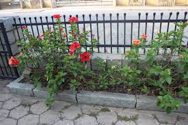 Keep Animals Away From Flower Beds