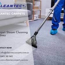 best carpet steam cleaning