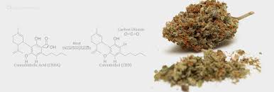Decarboxylation The Most Informative Guide Youll Ever Read