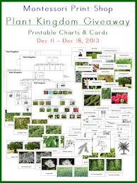 Plant Kingdom Charts And Cards Montessori Montessori