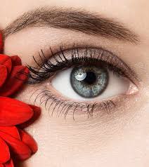 pretty eyes vishu las beauty