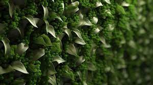 3d Rendered Abstract Plant Wall