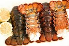 What is the best tasting lobster tails?