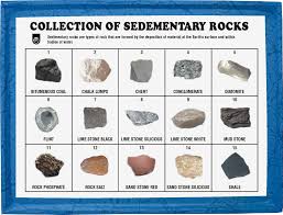 Sedimentary Rocks Manufacturer In Haryana India By Amit