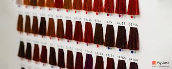 loreal hair colour chart