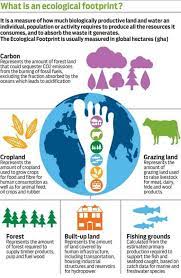 Your Ecological Footprint