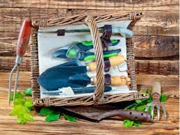 What To Put In A Garden Gift Basket