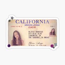 I got my driver's license last week just like we always talked about 'cause you were so excited for. Olivia Rodrigo Drivers License Sticker By Gabi Young02 Redbubble