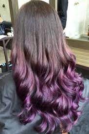Purple is an incredibly flattering hair colour. Pin On Hair