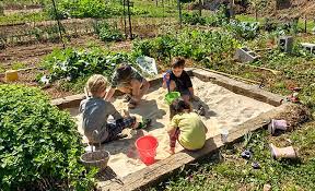 10 Steps To Starting A Community Garden