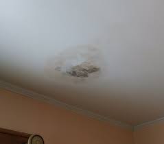 If it had been painted would this not have been a problem? 100 Pictures Of Mold In The Home