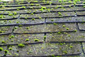 roof treatments what they are how