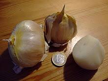 Could it be elephant garlic? Elephant Garlic Wikipedia