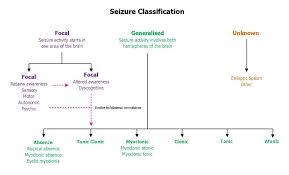 Pin By Epilepsy Seizure On Generalized Seizure Epilepsy