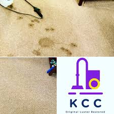 carpet cleaner al in norwalk ct