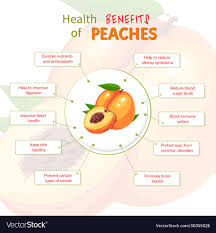 peaches benefits nutrition and t