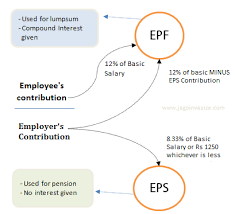 Epf Rules 10 Hidden Things About Employee Provident Fund