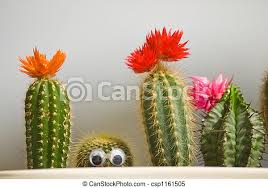 Togemon with mimi◊ gregory horror show: Funny Cactus Blossom Cactus And Funny Joke As Toy Eyes Canstock