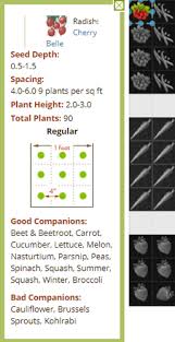 Your Vegetable Garden Plan Smart Gardener