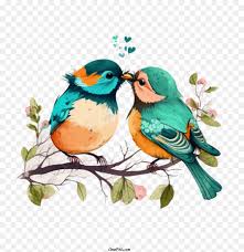 love birds png 4096 4096