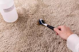 homemade carpet cleaner