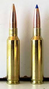 6 5 Creedmoor Ammunition Ballistics Performance Article