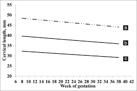 Reference Range Of The Weekly Uterine Cervical Length At 8