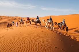 Depending upon the duration and facilities, the cost of camel safari varies. How To Take A Sahara Desert Tour In Morocco The Right Way