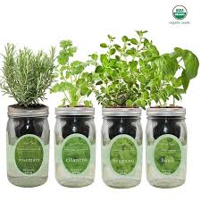 Mediterranean Herb Mix Garden Bundle