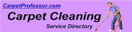 recommended carpet cleaner in duluth mn