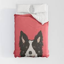 montana border collie gifts for dog