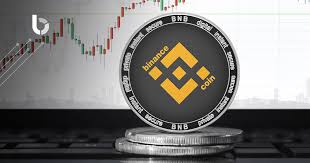 What Is Binance Coin Cryptocurrencies Explained By