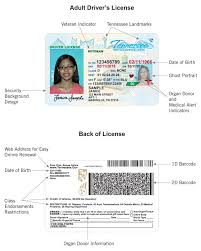 Medical cannabis programs in tennessee could change soon. Driver License Card Examples