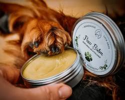 Image of paw balm being applied to a dog's paw