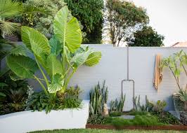 Garden With These Top 16 Tropical Ideas