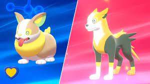 HOW TO Evolve Yamper into Boltund in Pokémon Sword and Shield - YouTube