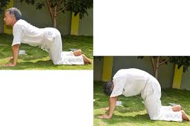 It prevents and corrects posture anomalies. Benefits Of Cat Cow Pose Bitilasana Marjaryasana Yoga In Nepal Yoga Training School