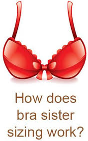 Bras Have Sister Sizes According To This The Volume Of The