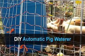 diy automatic pig waterer homestead