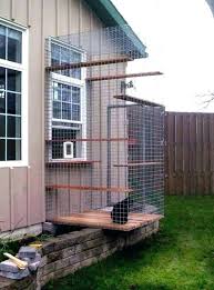 I have added additional commentary and photos that i thought may. Outdoor Cat Tree House Ideas Novocom Top