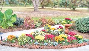 Create A Beautiful Flower Bed