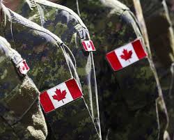 opinion the canadian armed forces are