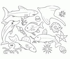 Contoh mewarnai sapi pewarna q. Kumpulan Sketsa Gambar Mewarnai Binatang Laut Untuk Anak Paud Tk Terbaru Gambarcoloring