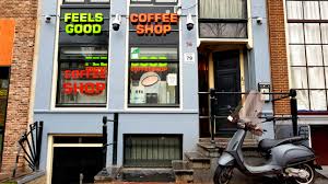 Cool place to have a great espresso. Coffeeshops In The Red Light District Of Amsterdam