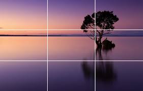 Tips for Using the Rule of Thirds in Photography | Photography