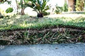 In fact, laying fresh sod over an existing lawn is no shortcut and could kill your sod and cause you twice as much work. Can Sod Be Installed Upon Existing Grass Why Or Why Not