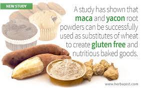 yacon and maca as flour subsutes