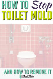 Black Mold In Your Toilet Here S What