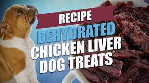 dehydrated en liver dog treats
